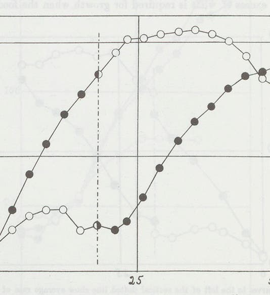Graph comparing rats fed on an artificial diet (white dots) and rats fed a milk supplement (black dots), with the diets reversed after 18 days, from F. Gowland Hopkins, “Accessory Food Factors,” <i>Journal of Physiology</i>, 1912 (1964) (Linda Hall Library)