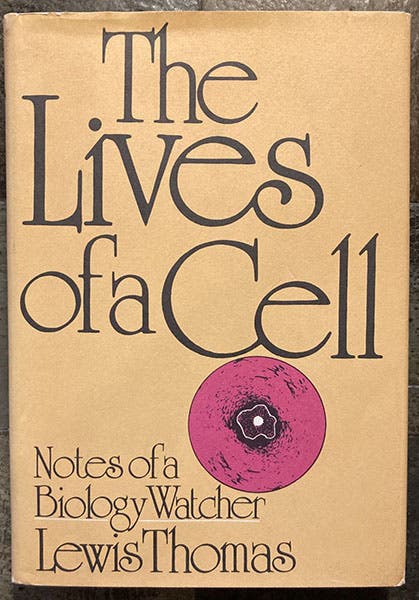 The Lives of a Cell: Notes of a Biology Watcher, by Lewis Thomas, 1974 (author’s copy)