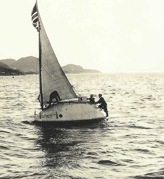 <p>Sunnmore Museum</p>