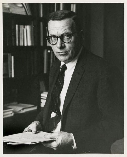 Portrait of Lewis Thomas, undated photograph, archives of the New York University School of Medicine (archives.med.nyu.edu),