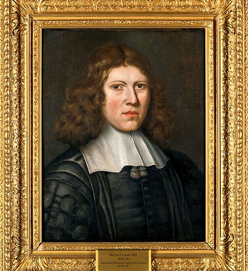 Portrait of Richard Lower, oil on canvas, by Jacob Huysmans, undated, Wellcome collection (wellcomecollection.org)
https://creativecommons.org/licenses/by/4.0/