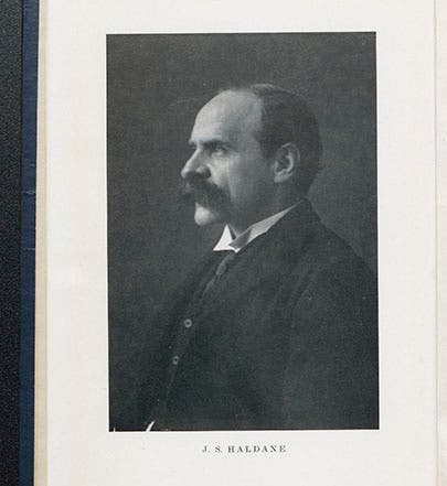 John Scott Haldane, undated photograph (Blackwell)