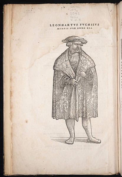 Portrait of Leonhart Fuchs, woodcut frontispiece to his De historia stirpium, 1542 (Linda Hall Library)