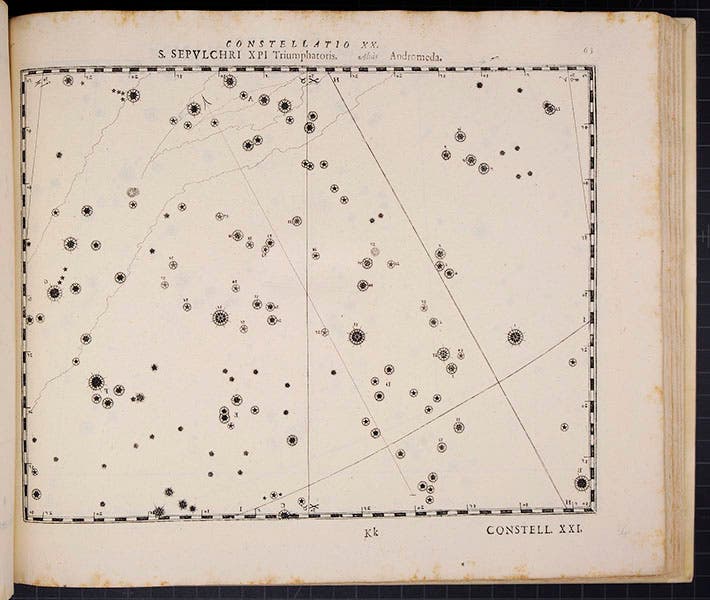 Sepulcher or Andromeda, counterproof before constellation figures were added, plate 20, Julius Schiller, Coelum stellatum Christianum concavum, 1627 (Linda Hall Library)