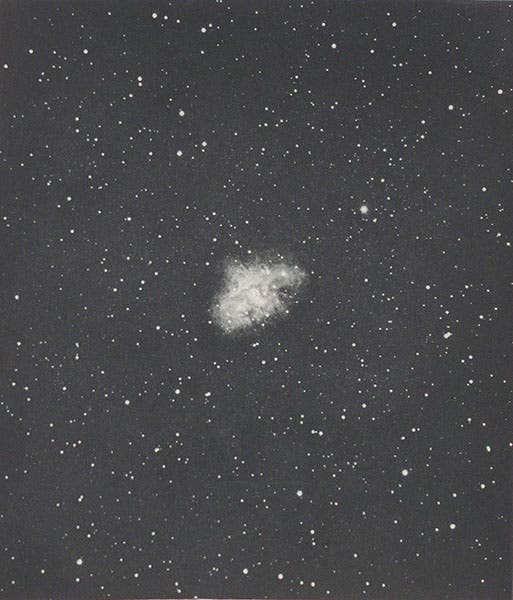 M1 Crab nebula in Taurus, photograph by James Keeler, cropped to plate borders, heliogravure in Photographs of Nebulae and Clusters Made with the Crossley Reflector, by James Keeler, Lick Observatory, plate 9, 1908 (Linda Hall Library)
