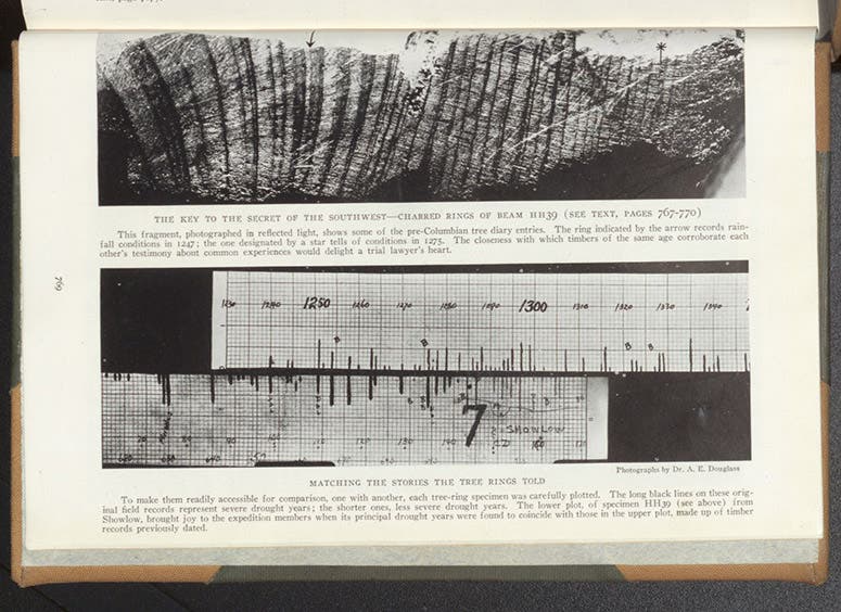 Beam HH-39, photograph, with a graph of its drought years matched up with the Flagstaff chronology, in article by Andrew E. Douglass, National Geographic, 1929 (Dec.), vol. 56, no. 6 (Linda Hall Library)