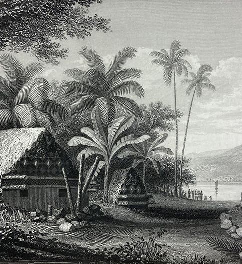 Tombs at Muthuata, Feejee, full-page etching based on a drawing by Alfred T. Agate, here cropped to image margin, in Narrative of the United States Exploring Expedition, by Charles Wilkes, 1845, quarto ed., vol. 3 (Linda Hall Library)