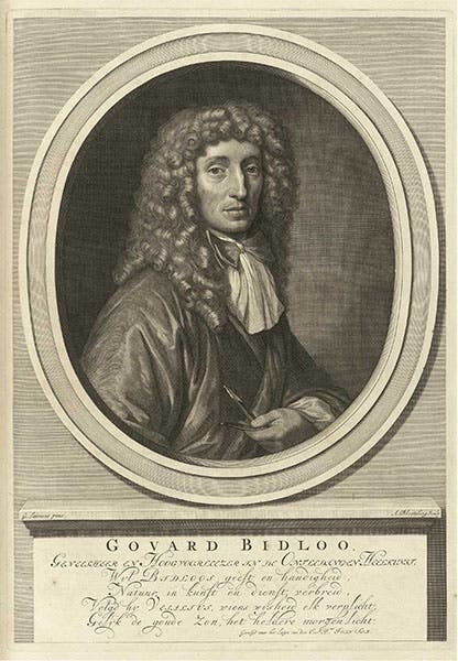 Portrait of Govard Bidloo, after design by Gerard de Lairesse, in Govard Bidloo, Ontleding des menschelyken lichaams, 1690 (National Library of Medicine)