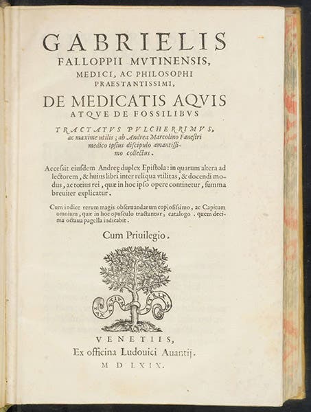 Title page, De medicatis aquis, atque de fossilibus, by Gabriele Falloppio, 1569 (The Linda Hall)