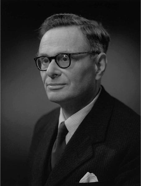 Formal portrait of Hans Krebs, photograph, 1961, National Portrait Gallery, London (npg.org.uk)