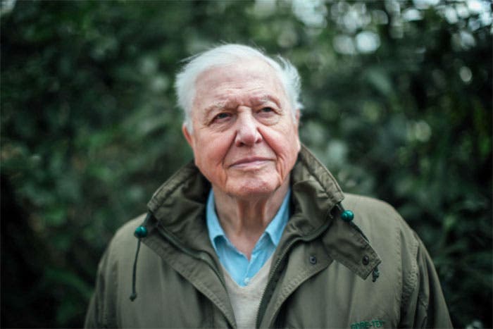 David Attenborough, in his later years, photograph, undated (pbs.org)