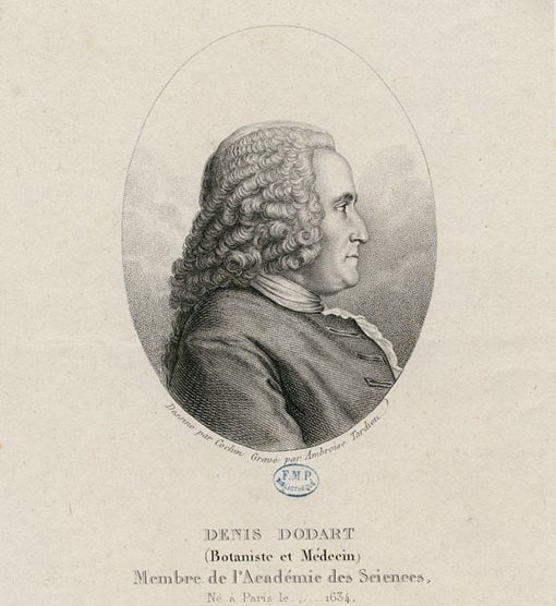 Portrait of Denis Dodart, engraving, University of Paris Library (biusante.parisdescartes.fr)