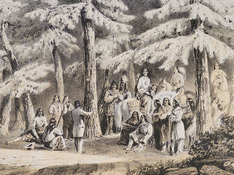 “Nez Perces,” detail of tinted lithograph by John Mix Stanley, in Narrative … for a Route for a Pacific Railroad near the Forty-Seventh and Forty-Ninth Parallels … from St. Paul to Puget Sound, by Isaac I. Stevens, 1855 (publ. 1860) (Linda Hall Library)