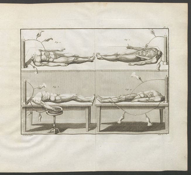 Attempts to animate human cadavers with Voltaic piles, complete page with engraving, Essai théorique et expérimental sur le galvanisme, by Giovanni Aldini, plate 3 at end, 1804 (Linda Hall Library)