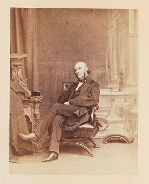 Portrait of William Allen Miller, albumen print, 1864, National Portrait Gallery, London (npg.org.uk)