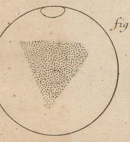Surface features of Mars as sketched by Giacomo Maraldi in 1719; the drawing greatly resembles Syrtis Major(<I>detail of fourth image</I>) (Linda Hall Library)