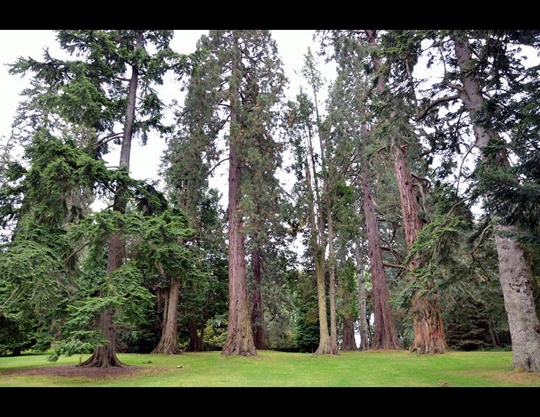 Peter Mannox, North Fife blogspot