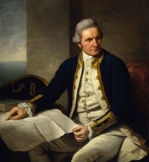 Portrait of James Cook, oil on canvas, by Nathaniel Dance, 1776, National Maritime Museum, Greenwich (rmg.co.uk)