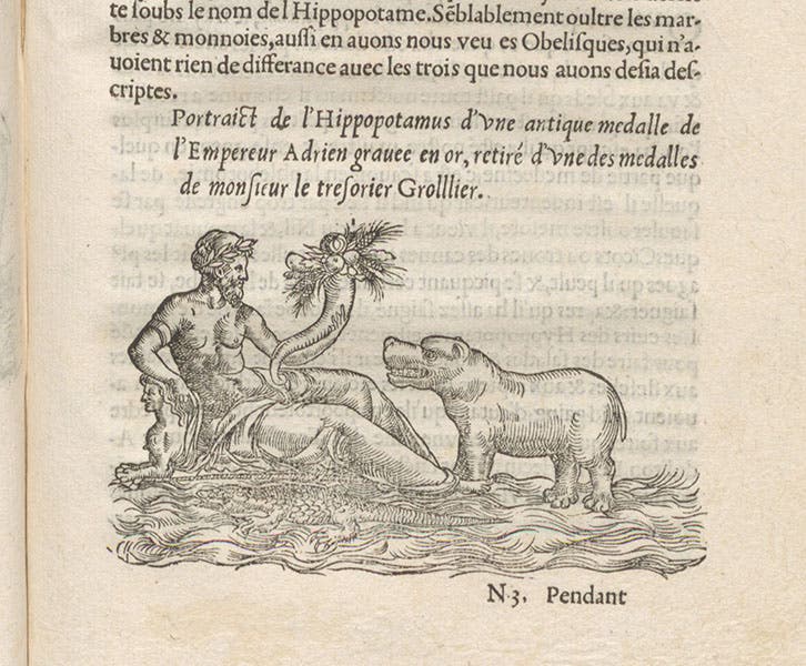 Portrait of a hippopotamus, from an ancient medal of the Roman emperor Hadrian, woodcut in L'histoire naturelle des estranges poissons marins, by Pierre Belon, 1551 (Linda Hall Library)