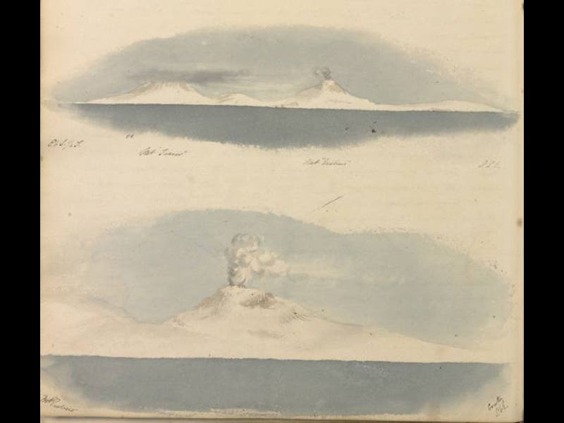 Image from Kew Gardens