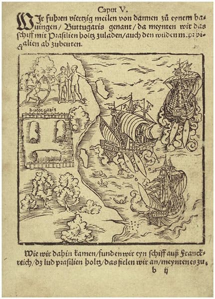 The sinking of the three Portuguese ships off the coast of southern Brazil, with natives uninterested in saving the crew, woodcut, in Warhaftige Historia und Beschreibung, by Hans Staden, 1557 (Biblioteca Nacional do Rio de Janeiro via archive.org)