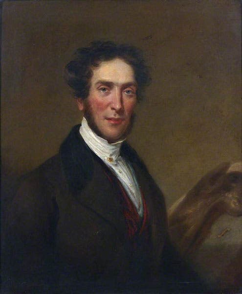 Portrait of Gideon Mantell, oil on canvas, by John J. Masquerier, 1837, Royal Society of London (artuk.org) CC BY-NC-ND