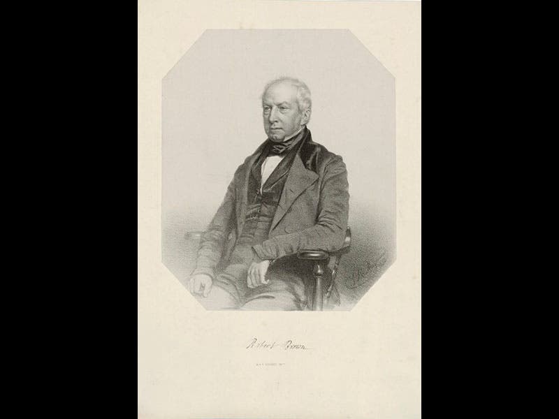 National Portrait Gallery, London