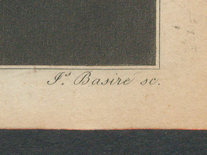 Detail of seventh image, showing the signature Js. Basire sc. at the bottom of the engraving (Linda Hall Library)