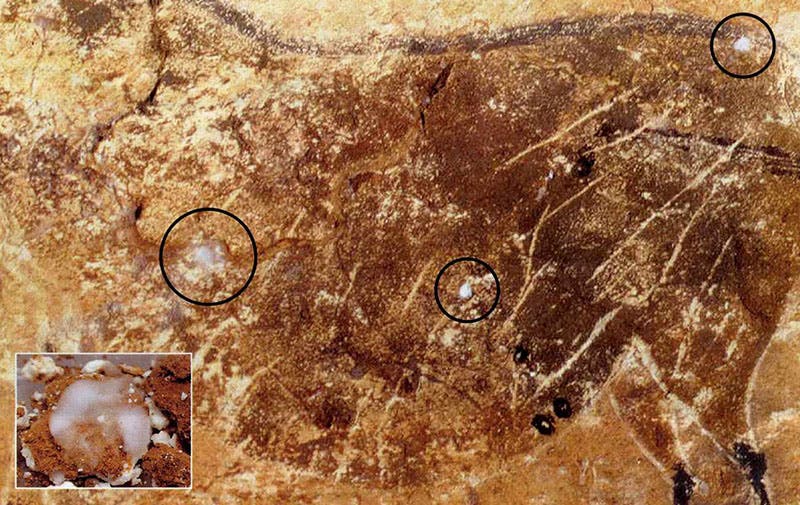 Fungus and mold attacking the wall paintings at Lascaux (donsmaps.com)