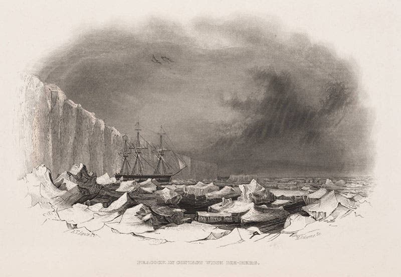“Peacock in contact with Iceberg,” engraved plate after a drawing by Alfred Agate, in Charles Wilkes, Narrative of the United States Exploring Expedition, 1845 (Linda Hall Library)