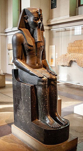 Seated statue of Amenhotep III, granodiorite, British Museum, item EA4, acquired from Henry Salt, 1823 (Wikimedia commons)