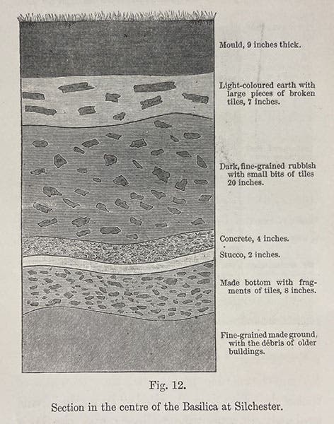Section from the ruins of the basilica at Silchester, with 9 inches of vegetable mound lying atop layers of building tiles and even concrete, wood engraving in The Formation of Vegetable Mould, through the Action of Worms, by Charles Darwin, p. 206, 1881 (Linda Hall Library)