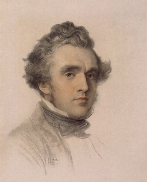 Portrait of Austen Henry Layard, chalk, by George Frederic Watts, ca 1852, National Portrait Gallery, London (npg.org.uk)