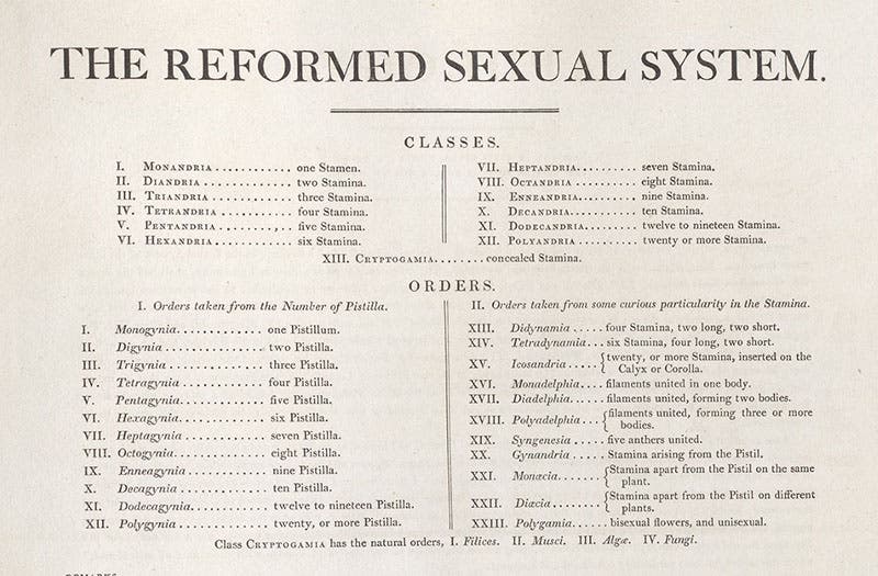 Detail of chart proposing a reformed Sexual System, this one including the orders based on pistil count, offered by John Thornton, in his New Illustration of the Sexual System of Carolus von Linnaeus,  1807 (Linda Hall Library)