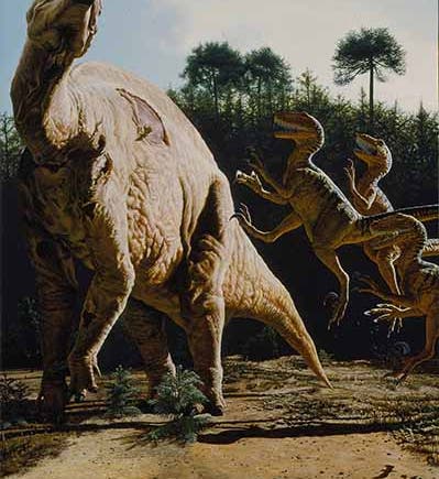 <i>Iguanodon attacked by Deinonychus</i>, painting by John Gurche (www.gurche.com)