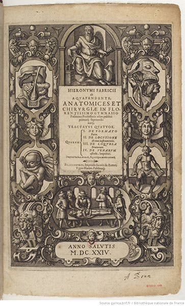 Engraved titlepage, Girolamo Fabrici d'Acquapendente, Anatomices et Chirurgiae, 1624 (gallica.bnf.fr)