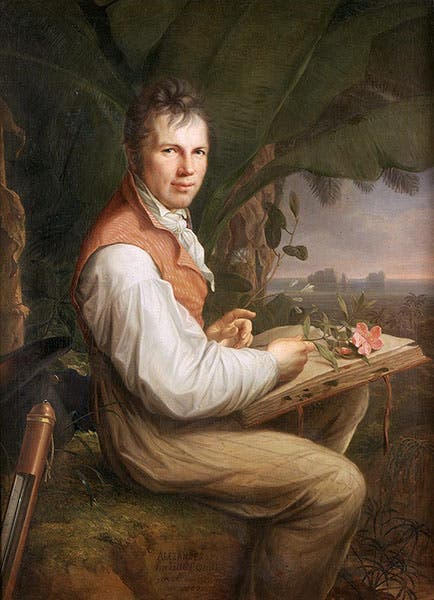 Portrait of Alexander von Humboldt, by George Weitsch, oil on canvas, 1806, Alte Nationalgalerie, Berlin (Wikimedia commons)