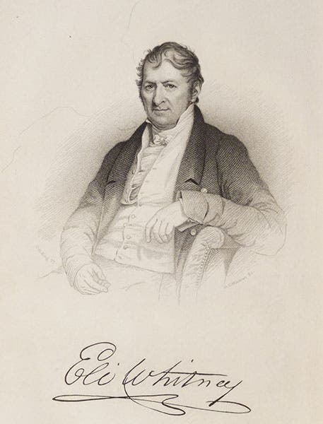 Portrait of Eli Whitney, frontispiece to Memoir of Eli Whitney Esq., by Denison Olmsted, 1846 (Linda Hall Library)