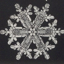 An elaborate snow crystal, photomicrograph, detail of plate 147, Snow Crystals, by Wilson A. Bentley and William J. Humphreys, 1931 (Linda Hall Library)