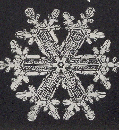 An elaborate snow crystal, photomicrograph, detail of plate 147, Snow Crystals, by Wilson A. Bentley and William J. Humphreys, 1931 (Linda Hall Library)