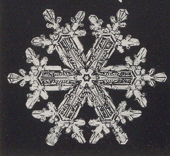 An elaborate snow crystal, photomicrograph, detail of plate 147, Snow Crystals, by Wilson A. Bentley and William J. Humphreys, 1931 (Linda Hall Library)