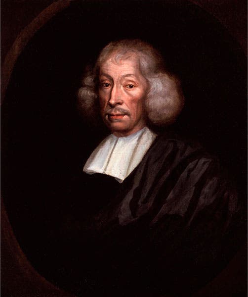 Portrait of John Ray, artist unknown, National Portrait Gllry. London (npg.org.uk)