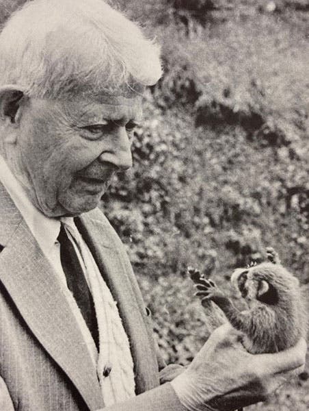 Sewall Wright, age 93, with baby raccoon, photograph by Doris Marie Provine, frontispiece to Sewall Wright and Evolutionary Biology, by William B. Provine, 1987 (Linda Hall Library)