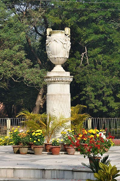 The Robert Kyd Memorial Urn, Acharya Jagadish Chandra Bose Indian Botanic Garden, Calcutta, modern photograph (Wikimedia commons)