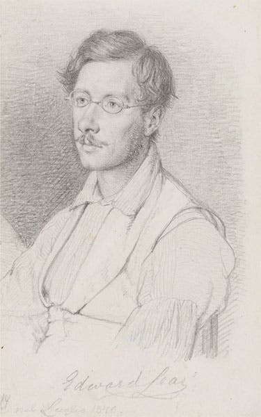 Portrait of Edward Lear, pencil on paper, by Wilhelm Marstrand, 1840, National Portrait Gallery, London (npg.org.uk)