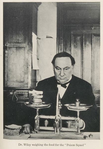 Harvey W. Wiley weighing out food for a Poison Squad luncheon, photograph, ca 1902, in Harvey W. Wiley: An Autobiography, 1930 (Linda Hall Library)