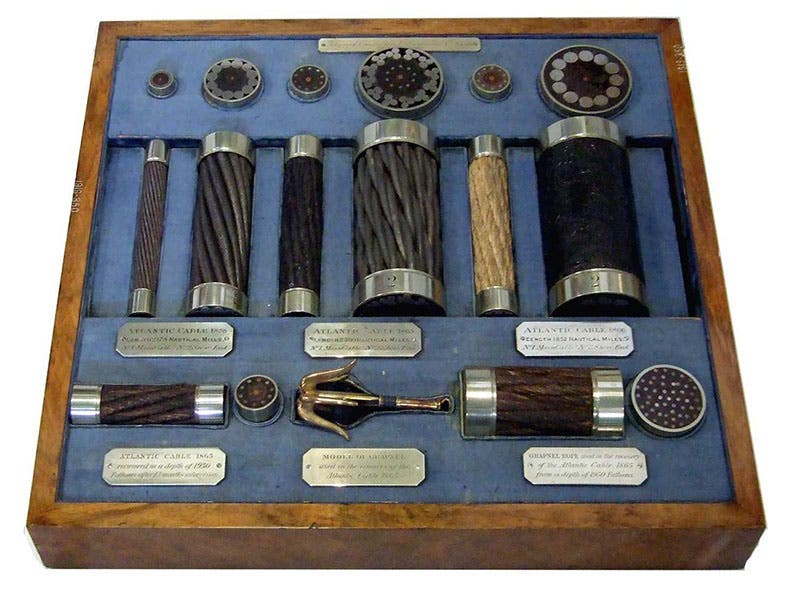 Display case showing sections of the cable used in 1858 (center left), 1865 (center middle) and 1866 (center right); all were manufactured by Glass, Elliot, and Co, or the company they merged into, Telegraph Construction and Maintenance Co. (atlantic-cable.com)