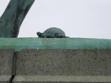 Zooming in on the turtle at the foot of the horse holding the Marquis de Lafayette, by Paul Wayland Bartlett, Hartford, Conn. (ct.gov/kids)
