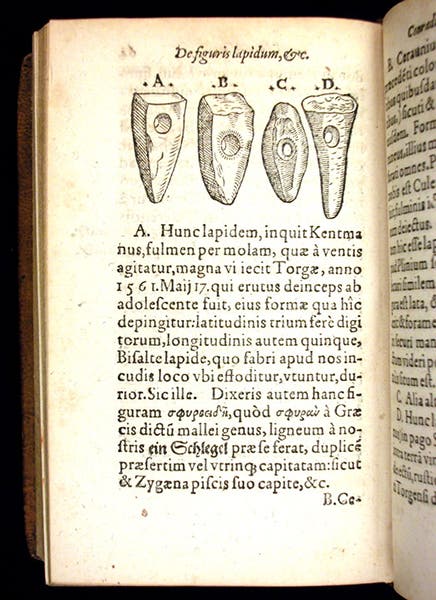 Cerauniae, or thunderstones (now known to be prehistoric stone tools), woodcut in De rerum fossilium, by Conrad Gessner, 1565 (Linda Hall Library)