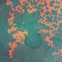 Social Mobilisation for Climate Change